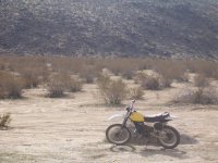 104_6005.JPG 104_6005.JPG