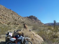 104_6010.JPG 104_6010.JPG