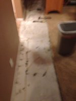 ImageUploadedByTapatalk1392176090.129197.jpg ImageUploadedByTapatalk1392176090.129197.jpg