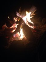 ImageUploadedByTapatalk1392866376.133609.jpg ImageUploadedByTapatalk1392866376.133609.jpg