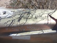 random 2014 100.JPG random 2014 100.JPG