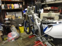 random 2014 114.JPG random 2014 114.JPG