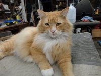 random 2014 116.JPG random 2014 116.JPG