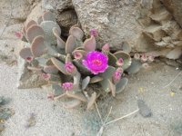 Spring Break JV March 2014 001.JPG