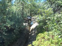 Picture 096.jpg Picture 096.jpg