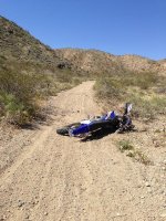 Crash Test Dummy.jpg