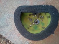 IMG_20131214_121301.jpg IMG_20131214_121301.jpg