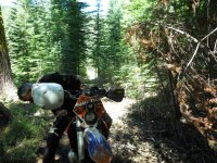 Picture 101.jpg Picture 101.jpg