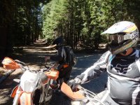 DSCN1227.JPG DSCN1227.JPG