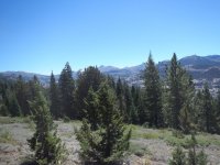 DSCN1228.JPG DSCN1228.JPG