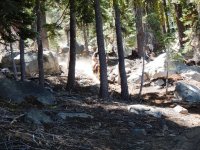 DSCN1232.JPG DSCN1232.JPG