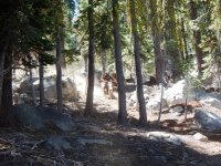 DSCN1235.JPG DSCN1235.JPG