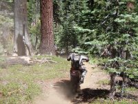 DSCN1237.JPG DSCN1237.JPG