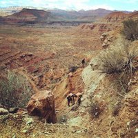 1551773_822977787742248_2578699882799090661_n.jpg 1551773_822977787742248_2578699882799090661_n.jpg