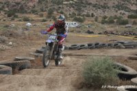 gplogs.jpg gplogs.jpg