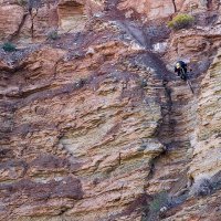 10291078_827115950661765_5335773581445849100_n.jpg 10291078_827115950661765_5335773581445849100_n.jpg