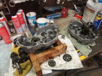 summer2014 001.JPG summer2014 001.JPG