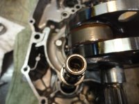 summer2014 005.JPG summer2014 005.JPG