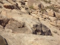 P&H 10122014 009.JPG