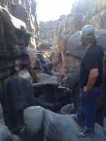 IMG_1203.JPG IMG_1203.JPG