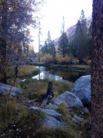 IMG_1259.JPG IMG_1259.JPG