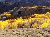 IMG_1365.JPG IMG_1365.JPG