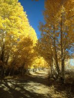 IMG_1367.JPG IMG_1367.JPG