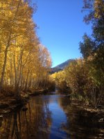 IMG_1372.JPG IMG_1372.JPG