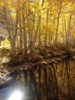 IMG_1377.JPG IMG_1377.JPG