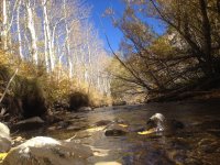 IMG_1406.JPG IMG_1406.JPG