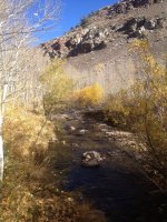 IMG_1408.JPG IMG_1408.JPG