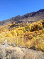 IMG_1420.JPG IMG_1420.JPG