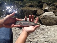 IMG_1443.JPG IMG_1443.JPG