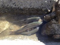 IMG_1447.JPG IMG_1447.JPG