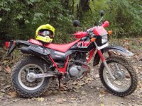 ImageUploadedByTapatalk1415248450.528148.jpg ImageUploadedByTapatalk1415248450.528148.jpg