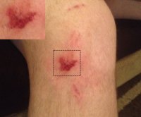 IMG_17211.jpg IMG_17211.jpg