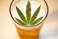 weed-infused-beer-is-a-real-thing-and-we-tell-you-how-to-make-it.jpg