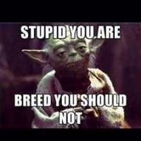 10806388_1510174432592968_5347700065372577948_n.jpeg 10806388_1510174432592968_5347700065372577948_n.jpeg