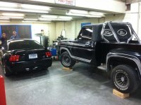 fender3.jpeg fender3.jpeg