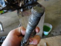 DSC01016.JPG DSC01016.JPG