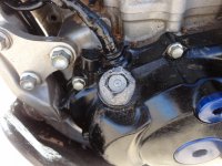 TDay2013 044.JPG TDay2013 044.JPG