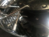 11040832_977300645615037_8911085771664332519_n (1).jpg