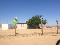 Fence Trophies I.JPG