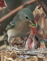 image_preview.jpg image_preview.jpg