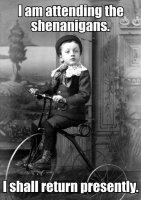 shenanigans.jpg