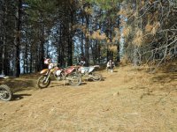 Picture 303.jpg Picture 303.jpg