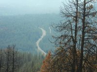 Picture 301.jpg Picture 301.jpg