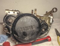 IMG_2114.jpg IMG_2114.jpg