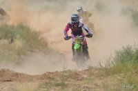 Farmingtonbrooo.jpg Farmingtonbrooo.jpg