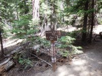 DSCN1659.JPG DSCN1659.JPG